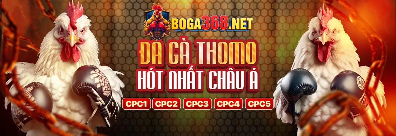 Sân đấu đá gà trực tuyến kịch tính tại niw88 khuyến mãi