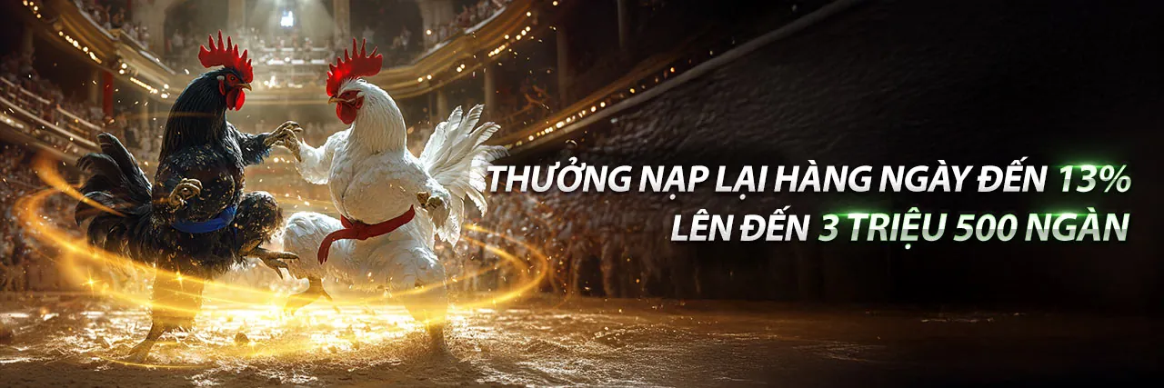 Chương Trình VIP NIW88 với các đặc quyền độc nhất