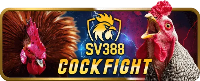 Cá cược e-sports niw88