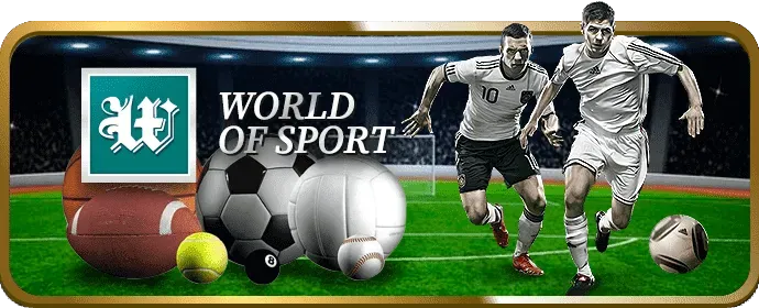 Cá cược bóng rổ niw88