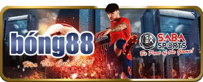 Các môn thể thao khác niw88